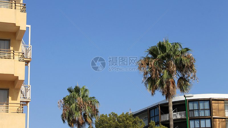 跟团游与自由行：费用背后的秘密解析
